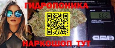 героин Кингисепп