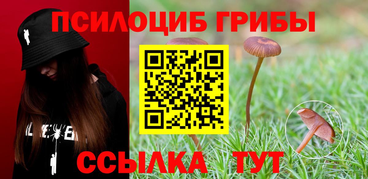 что такое наркотик  Вход с VPN  Мурманск  Галлюциногенные грибы ЛСД 